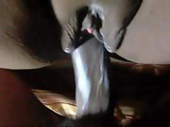 Black cock gets juicy in her black cunt