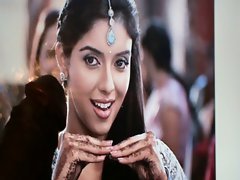 tribute to asin- indian actress