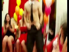 Stripper cocks are meant to be sucked at horny party