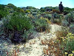 first fuck on Capobino nudist Beach in spain