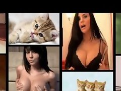 Titties and Kitties! sexy and cute! titties and kitties!