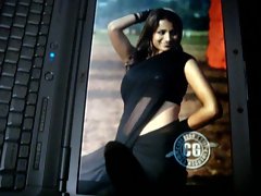 Nadigai veriyan moaning cum tribute to trisha