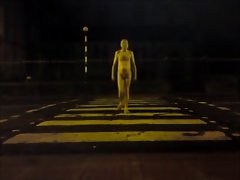 Nude in Public at Night