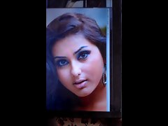 Cum tribute to indian tamil actress Namitha