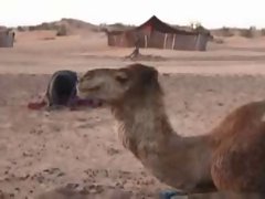 arabian desert camps pt2