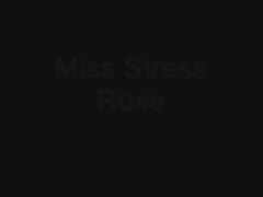 Miss Stress Rose