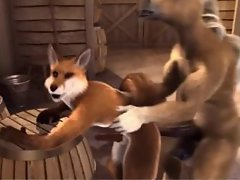 Fox In The Stable