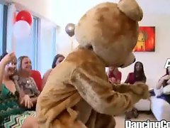 Dancingcock Big Bear Party