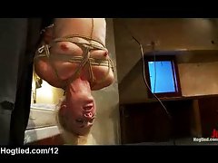 Hung upside down babe pussy and ass fingered
