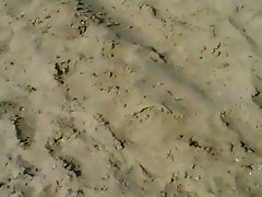 jerking on beach with cumshots. Russian